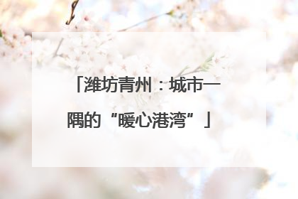 潍坊青州：城市一隅的“暖心港湾”