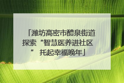 潍坊高密市醴泉街道探索“智慧医养进社区” 托起幸福晚年