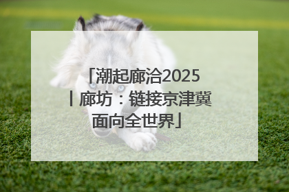 潮起廊洽2025丨廊坊：链接京津冀 面向全世界