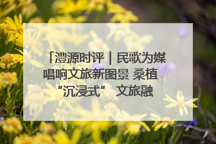 澧源时评｜民歌为媒唱响文旅新图景 桑植 “沉浸式” 文旅融合的破圈启示