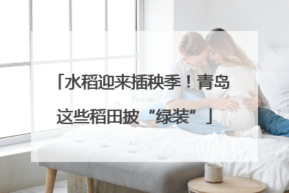 水稻迎来插秧季！青岛这些稻田披“绿装”