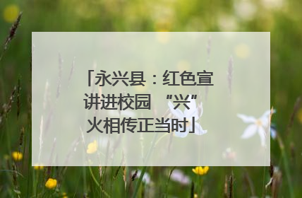 永兴县：红色宣讲进校园 “兴”火相传正当时