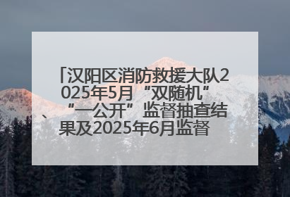 汉阳区消防救援大队2025年5月“双随机”、“一公开”监督抽查结果及2025年6月监督抽查任务公示