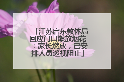江苏启东教体局回应门口燃放烟花：家长燃放，已安排人员巡视阻止