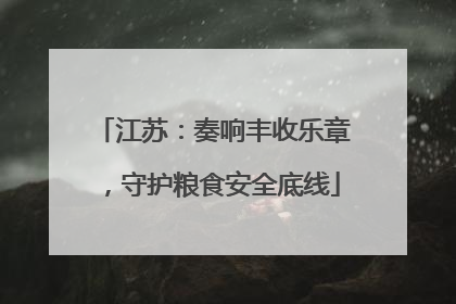 江苏：奏响丰收乐章，守护粮食安全底线