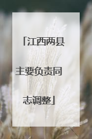 江西两县主要负责同志调整