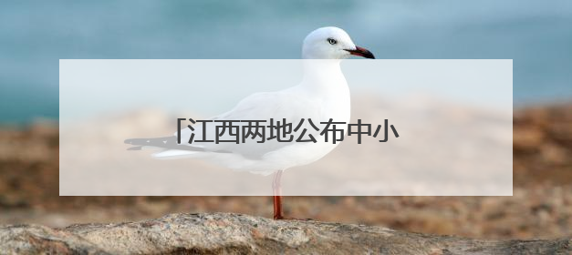 江西两地公布中小学暑假放假安排！