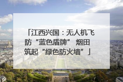 江西兴国：无人机飞防“蓝色盾牌” 烟田筑起“绿色防火墙”