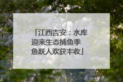 江西吉安：水库迎来生态捕鱼季 鱼跃人欢获丰收