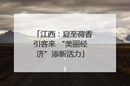 江西：夏至荷香引客来 “美丽经济”添新活力