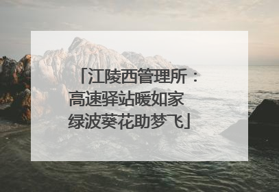 江陵西管理所：高速驿站暖如家 绿波葵花助梦飞