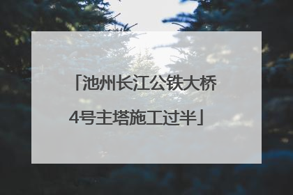 池州长江公铁大桥4号主塔施工过半