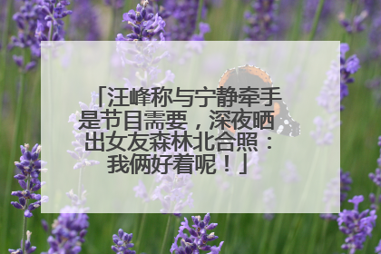 汪峰称与宁静牵手是节目需要，深夜晒出女友森林北合照：我俩好着呢！