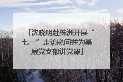 沈晓明赴株洲开展“七一”走访慰问并为基层党支部讲党课