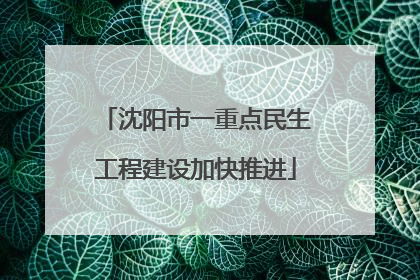 沈阳市一重点民生工程建设加快推进
