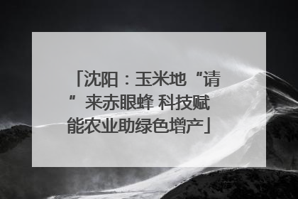 沈阳：玉米地“请”来赤眼蜂 科技赋能农业助绿色增产