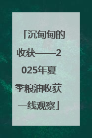 沉甸甸的收获——2025年夏季粮油收获一线观察