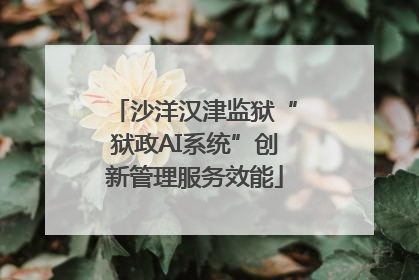 沙洋汉津监狱“狱政AI系统”创新管理服务效能