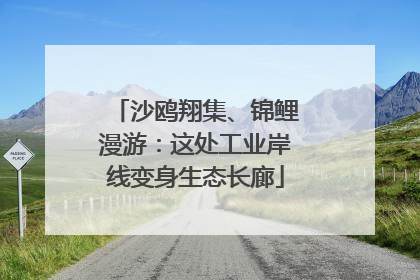 沙鸥翔集、锦鲤漫游：这处工业岸线变身生态长廊