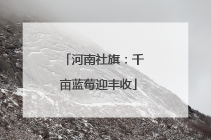 河南社旗：千亩蓝莓迎丰收