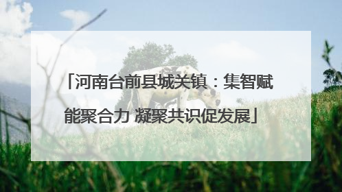 河南台前县城关镇：集智赋能聚合力 凝聚共识促发展