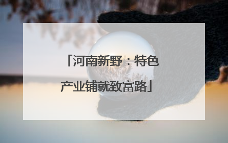 河南新野：特色产业铺就致富路