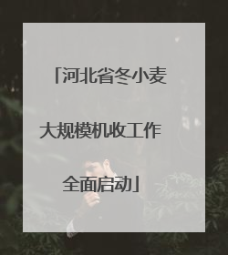 河北省冬小麦大规模机收工作全面启动
