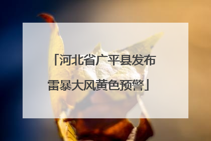 河北省广平县发布雷暴大风黄色预警