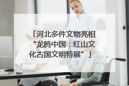 河北多件文物亮相“龙腾中国：红山文化古国文明特展”