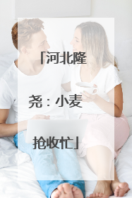 河北隆尧：小麦抢收忙