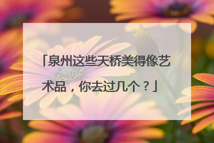泉州这些天桥美得像艺术品，你去过几个？