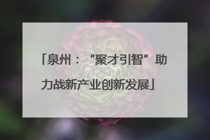 泉州：“聚才引智”助力战新产业创新发展