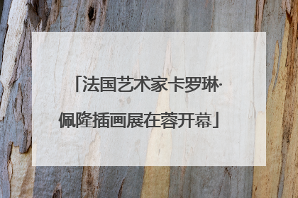 法国艺术家卡罗琳·佩隆插画展在蓉开幕