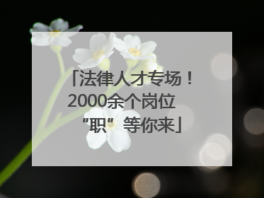 法律人才专场！2000余个岗位“职”等你来