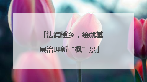 法润橙乡，绘就基层治理新“枫”景