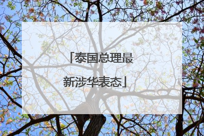 泰国总理最新涉华表态