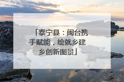 泰宁县：闽台携手赋能，绘就乡建乡创新图景