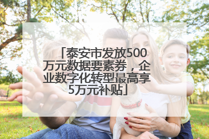 泰安市发放500万元数据要素券，企业数字化转型最高享5万元补贴
