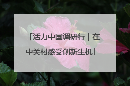 活力中国调研行｜在中关村感受创新生机