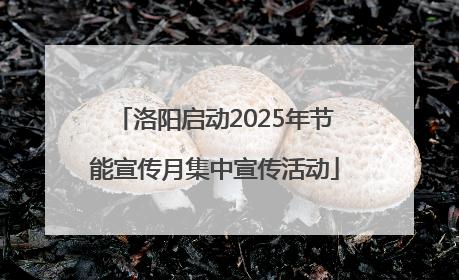 洛阳启动2025年节能宣传月集中宣传活动