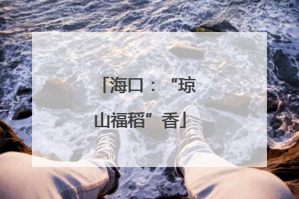 海口：“琼山福稻”香