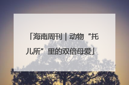 海南周刊｜动物“托儿所”里的双倍母爱