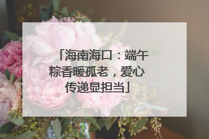 海南海口：端午粽香暖孤老，爱心传递显担当