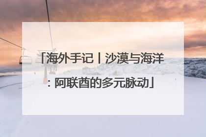 海外手记丨沙漠与海洋：阿联酋的多元脉动