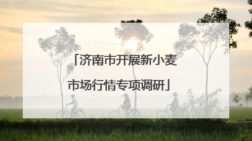 济南市开展新小麦市场行情专项调研