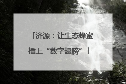 济源：让生态蜂蜜插上“数字翅膀”