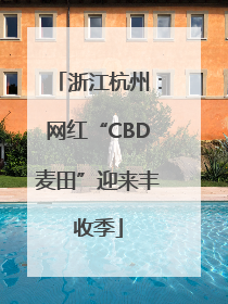 浙江杭州：网红“CBD麦田”迎来丰收季