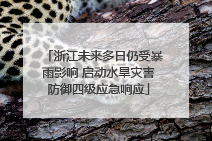 浙江未来多日仍受暴雨影响 启动水旱灾害防御四级应急响应