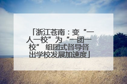 浙江苍南：变“一人一校”为“一团一校” 组团式督导督出学校发展加速度