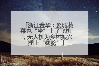 浙江金华：婺城蔬菜也“坐”上了飞机，无人机为乡村振兴插上“翅膀”